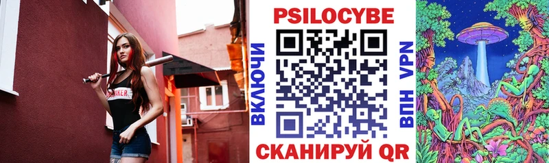 купить   Александров  Галлюциногенные грибы прущие грибы 